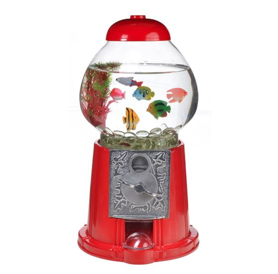 Benefits of Fish Tanks for Children Best Fish Tanks for Kids DiscusGuy