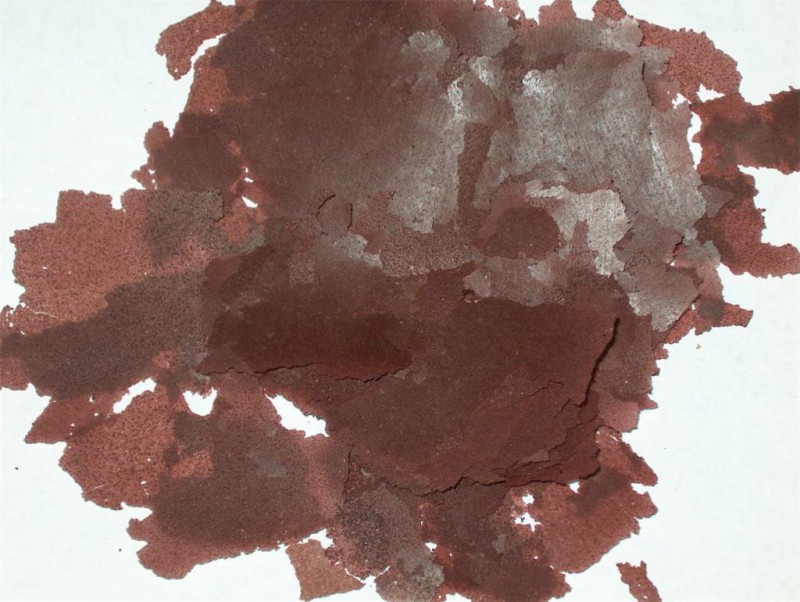 Discus Fish Food Beef Heart Flakes Best Discus Flakes DiscusGuy